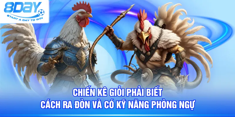 Chiến kê giỏi phải biết cách ra đòn và có kỹ năng phòng ngự
