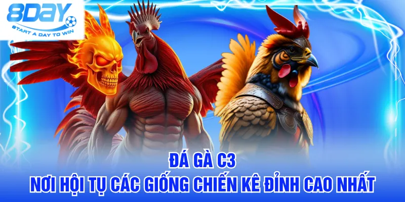 đá gà C3