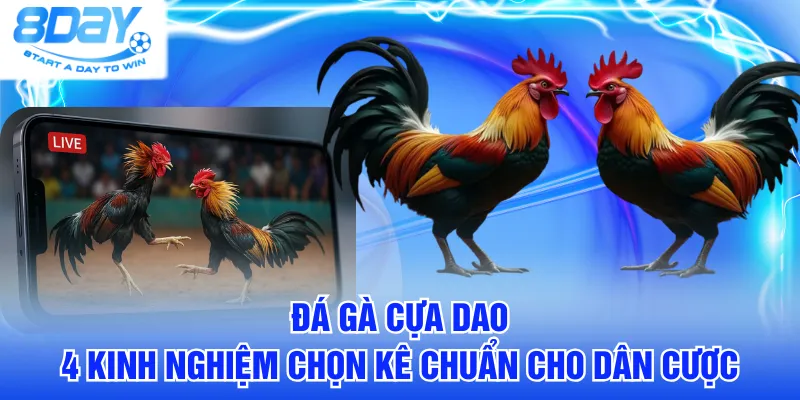 đá gà cựa dao