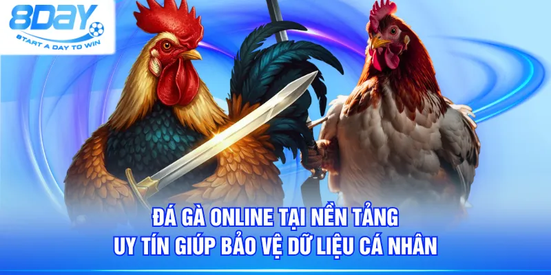 Đá gà online tại nền tảng uy tín giúp bảo vệ dữ liệu cá nhân