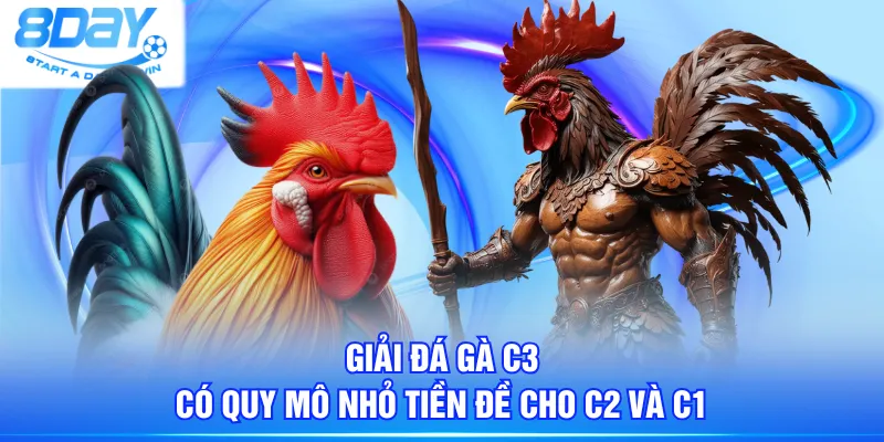 Giải đá gà C3 có quy mô nhỏ tiền đề cho C2 và C1