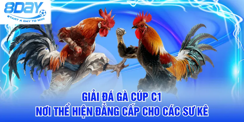 Đá gà cúp C1